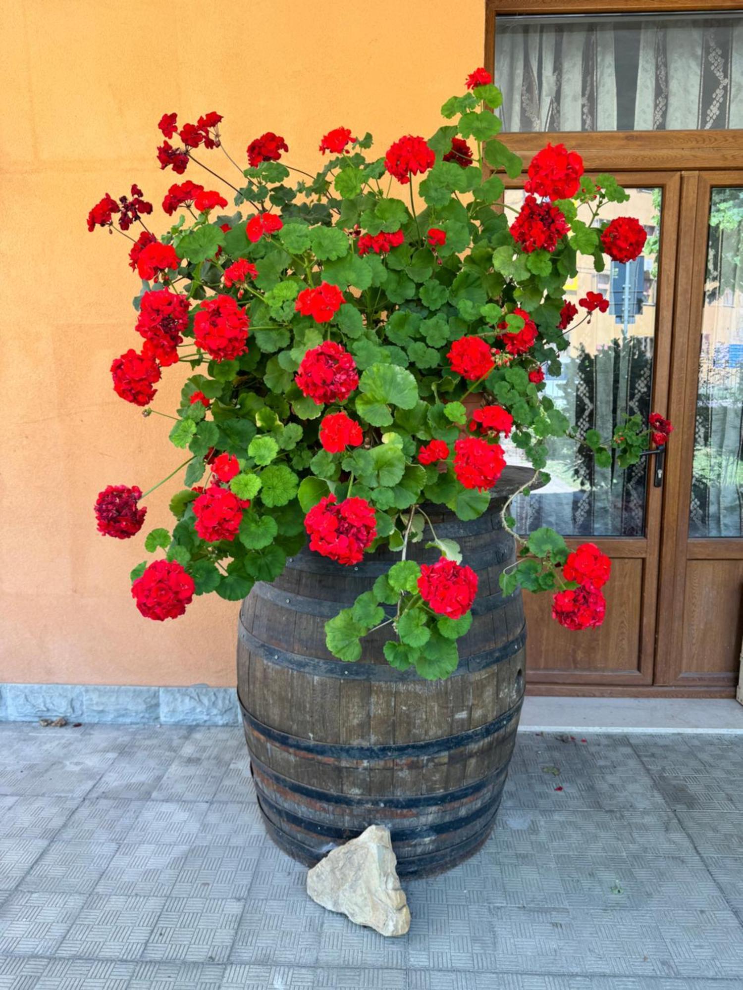 B&B Romani Madonna di Fornelli Экстерьер фото